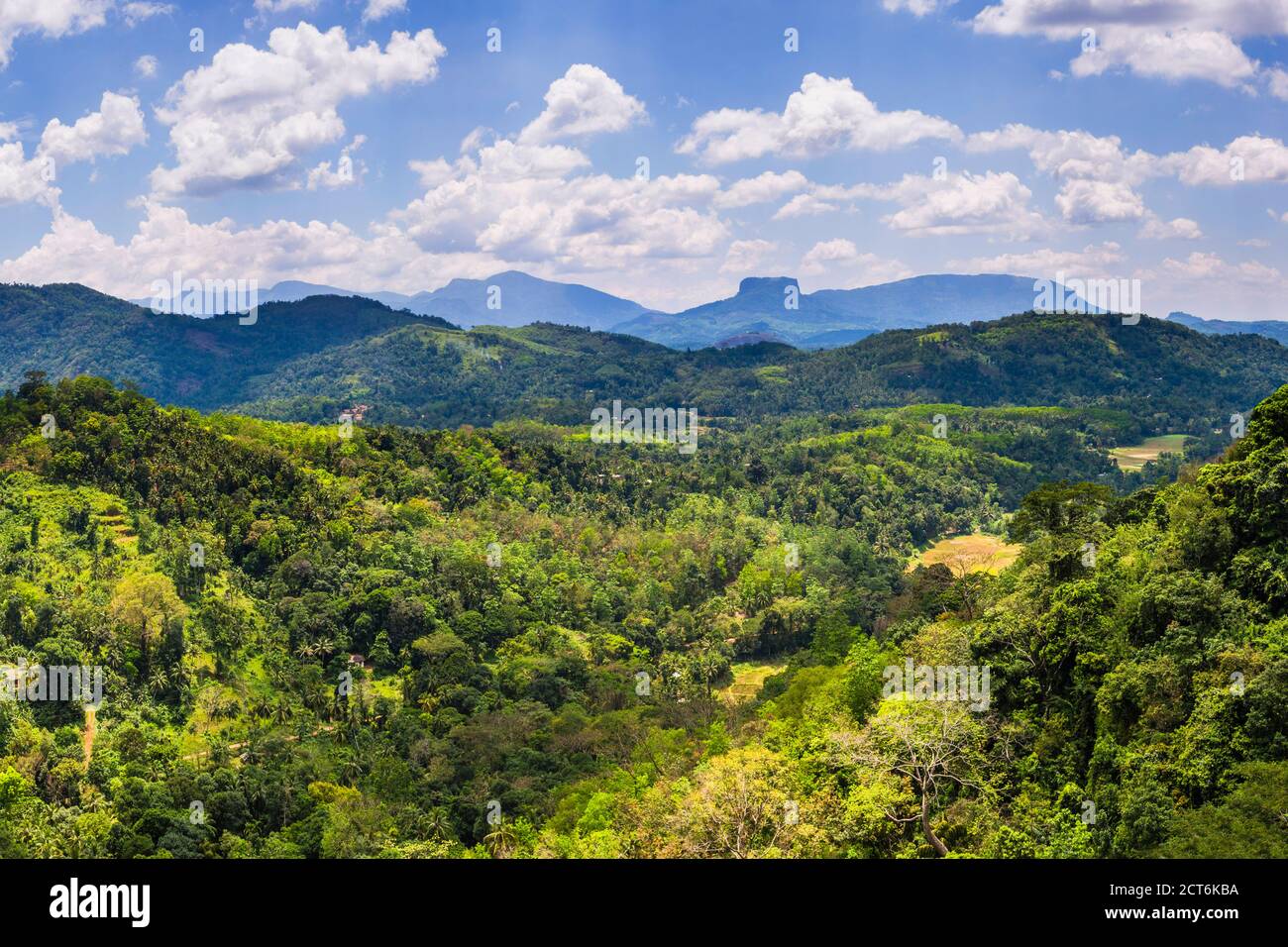 La Bibbia Rock, nei pressi di Kandy in Sri Lanka Provincia centrale aka Sri Lanka Highlands o Sri Lanka Hill Country, Asia Foto Stock