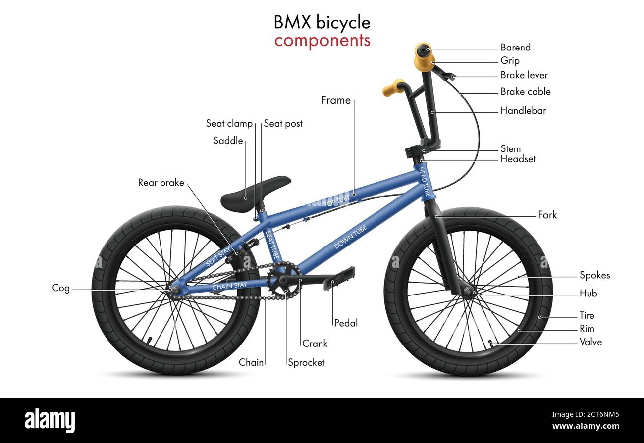 Componenti per biciclette BMX etichettati. L'illustrazione tecnica vettoriale mostra uno schema delle parti di bicicletta e della struttura degli elementi tubolari di telaio Illustrazione Vettoriale