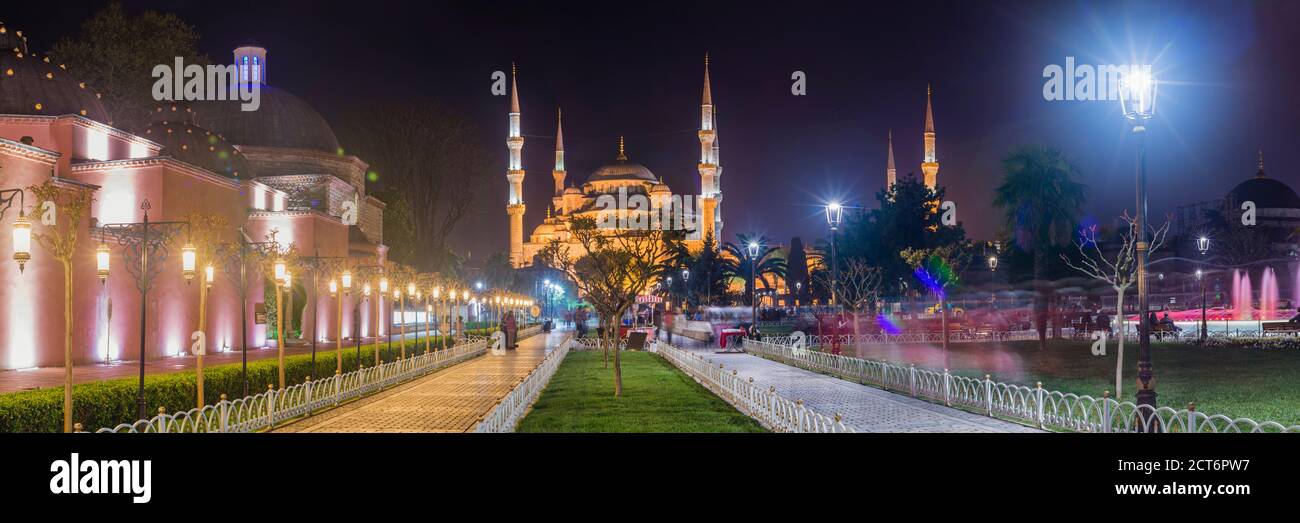 Moschea Blu (Moschea del Sultano Ahmed) nel Parco e Giardini di Piazza Sultanahmet di notte, Istanbul, Turchia, Europa dell'Est Foto Stock