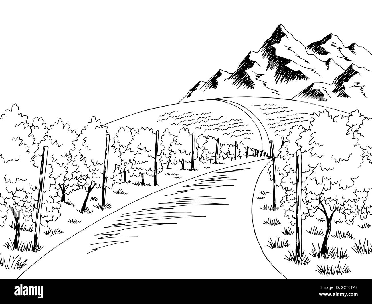 Grafico vigneto bianco nero disegno grafico paesaggio vettore illustrazione Illustrazione Vettoriale