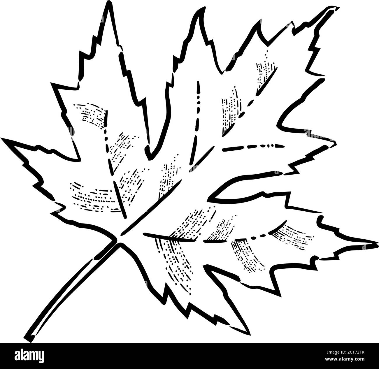Giorno del Ringraziamento negli Stati Uniti d'America, Canada. Foglie d'acero. Stile di incisione Illustrazione Vettoriale