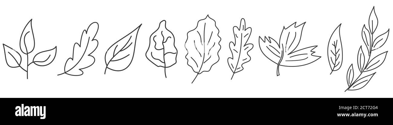 Set di Foglie in linea sottile. Icone lamine lineari. Foglie di contorno isolate. Illustrazione del vettore. Illustrazione Vettoriale