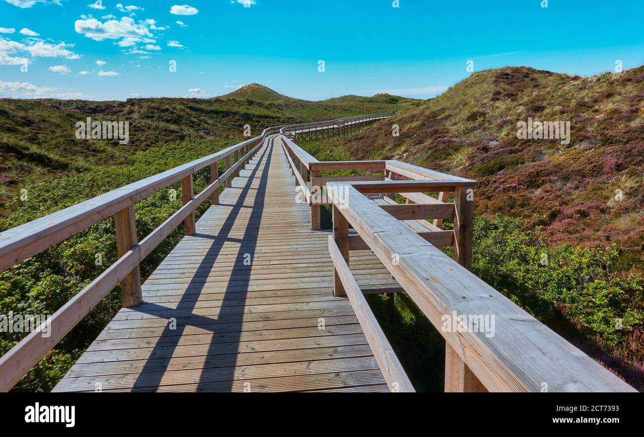 Percorso di tavole di legno attraverso il paesaggio di dune protette dell'isola Sylt, Germania Foto Stock