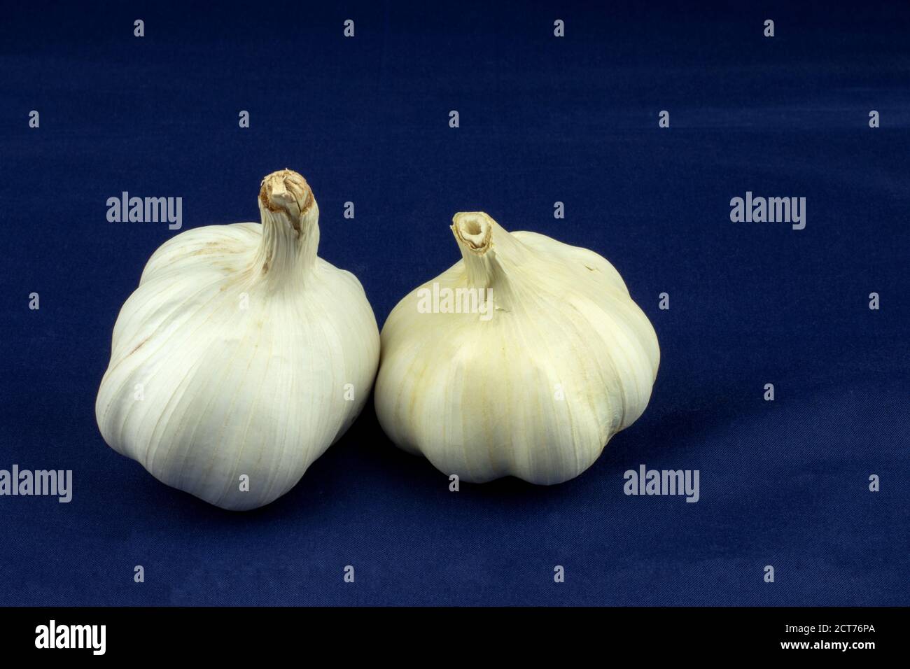 Due bulbi di aglio isolati su sfondo blu Foto Stock