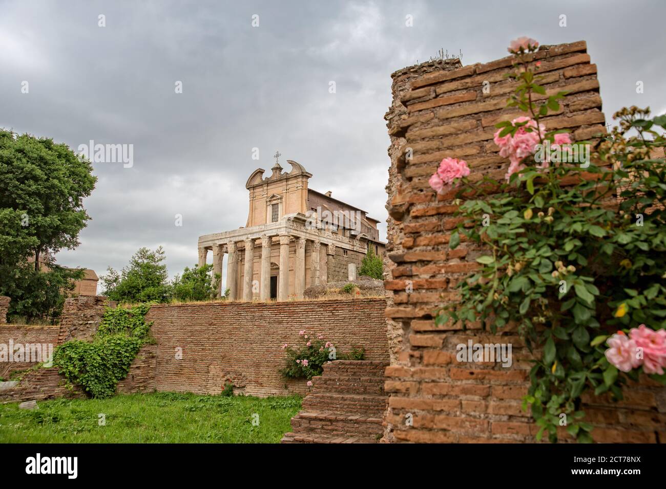 Il Tempio di Antonino e Faustina è uno dei meglio conservati del Foro Romano, Roma, Italia Foto Stock