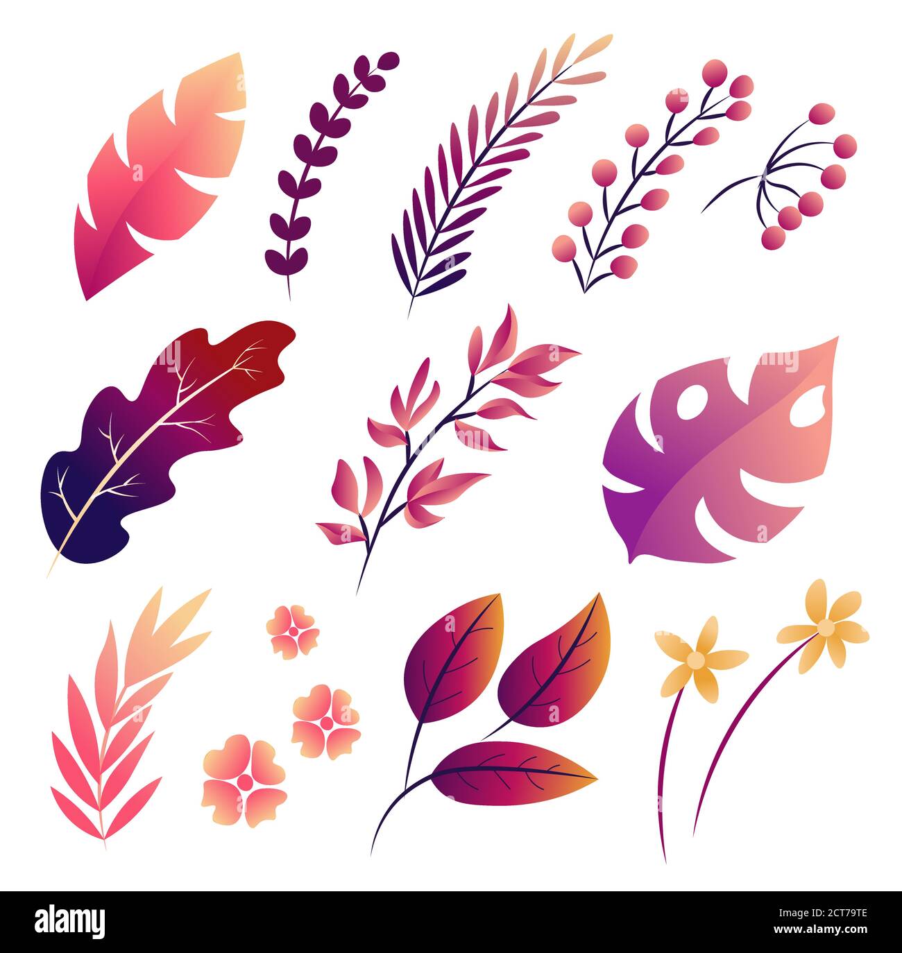 Big Vector Set di foglie tropicali, illustrazione isolata Illustrazione Vettoriale