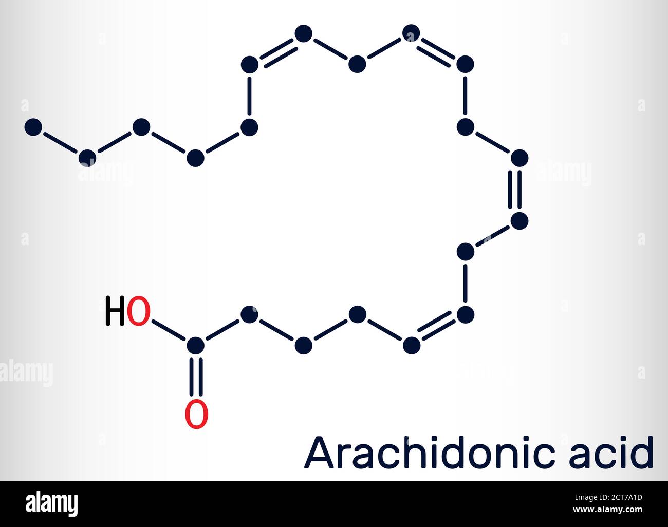 Acido arachidonico, AA, molecola ARA. Si tratta di acido grasso insaturo  omega-6, è precursore nella biosintesi di prostaglandine, trombossani,  leucotrieni Immagine e Vettoriale - Alamy