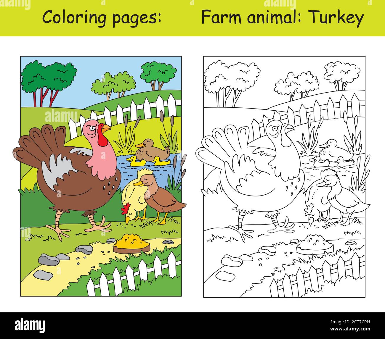 Pagine da colorare con divertente tacchino arrabbiato a piedi sulla fattoria. Illustrazione vettoriale cartoon. Colorazione e immagine colorata della turchia. Illustrazione del magazzino per Illustrazione Vettoriale