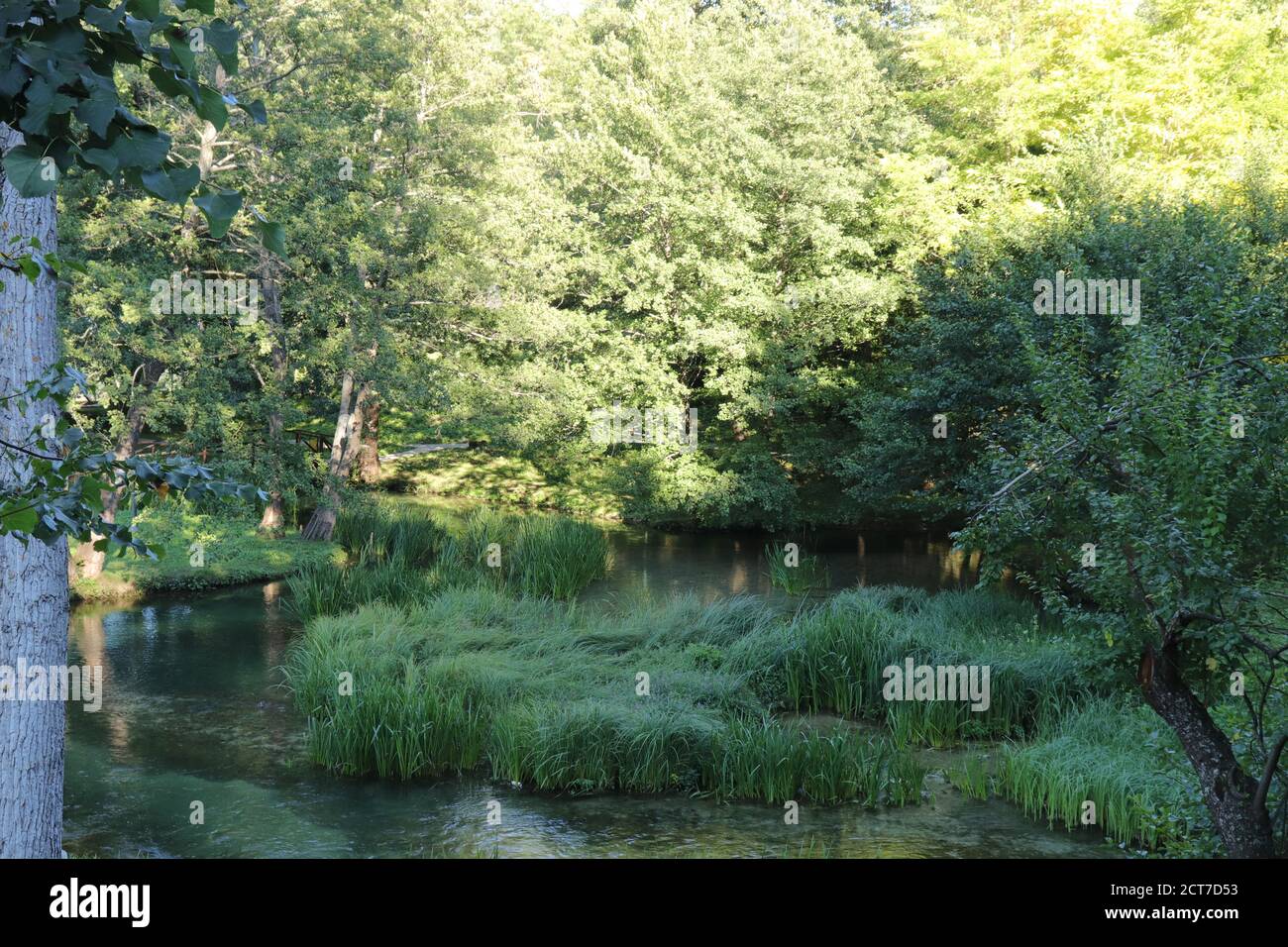Tranquilla zona verde del lago di Pliva vicino alla città di Jajce in Bosnia Erzegovina Foto Stock