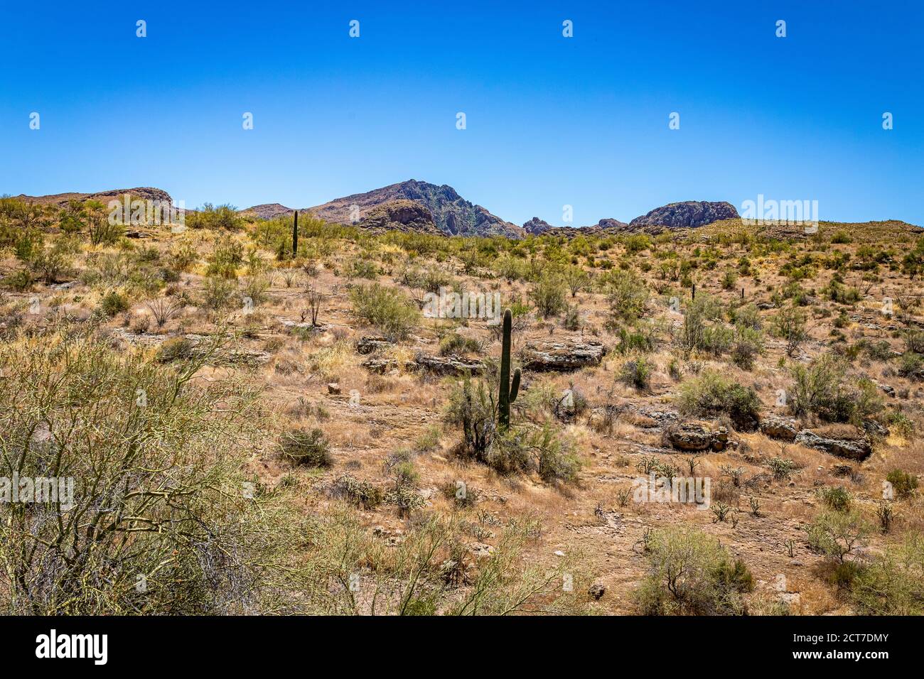 Apache Trail Scenic Drive Foto Stock