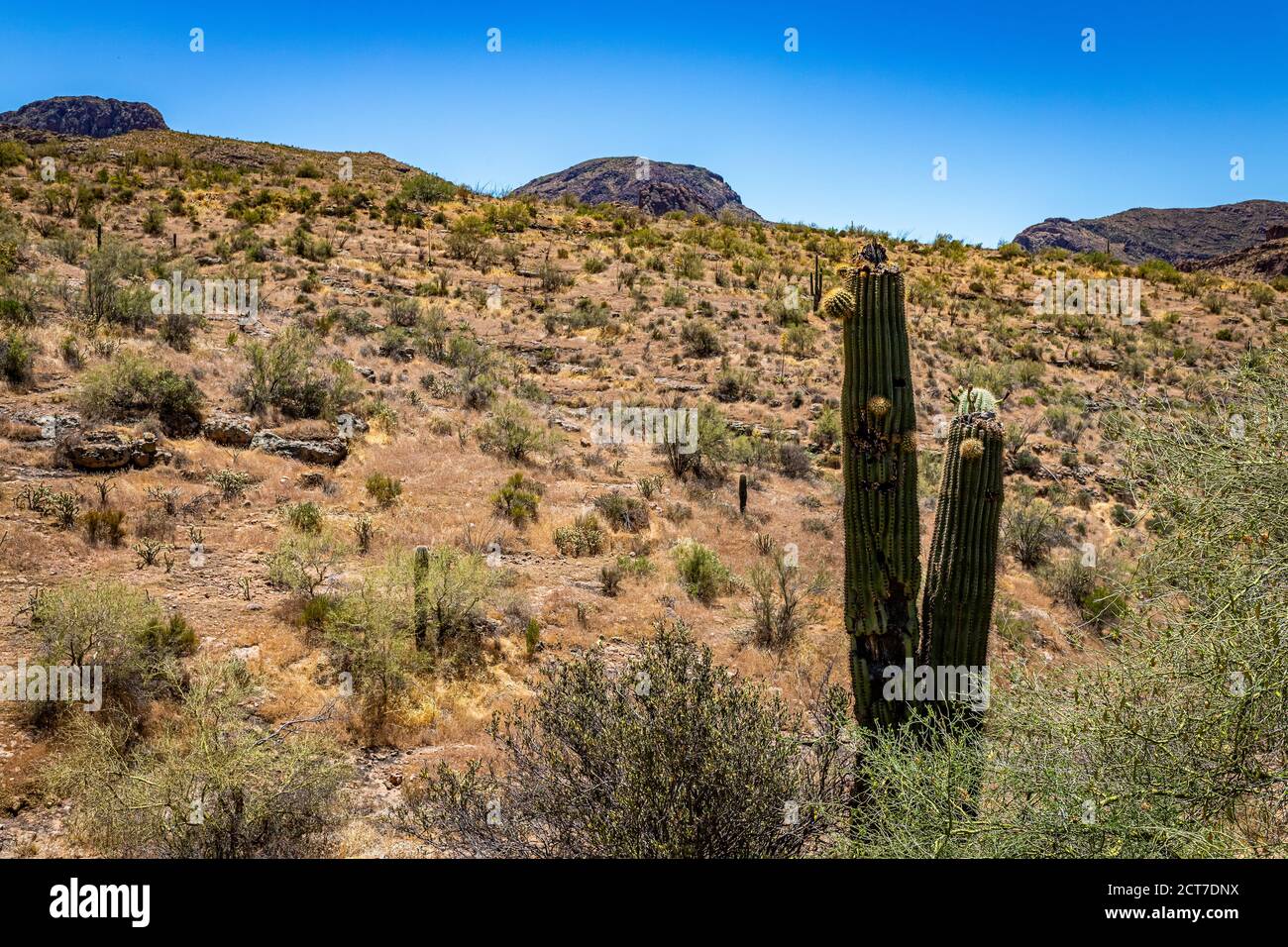 Apache Trail Scenic Drive Foto Stock