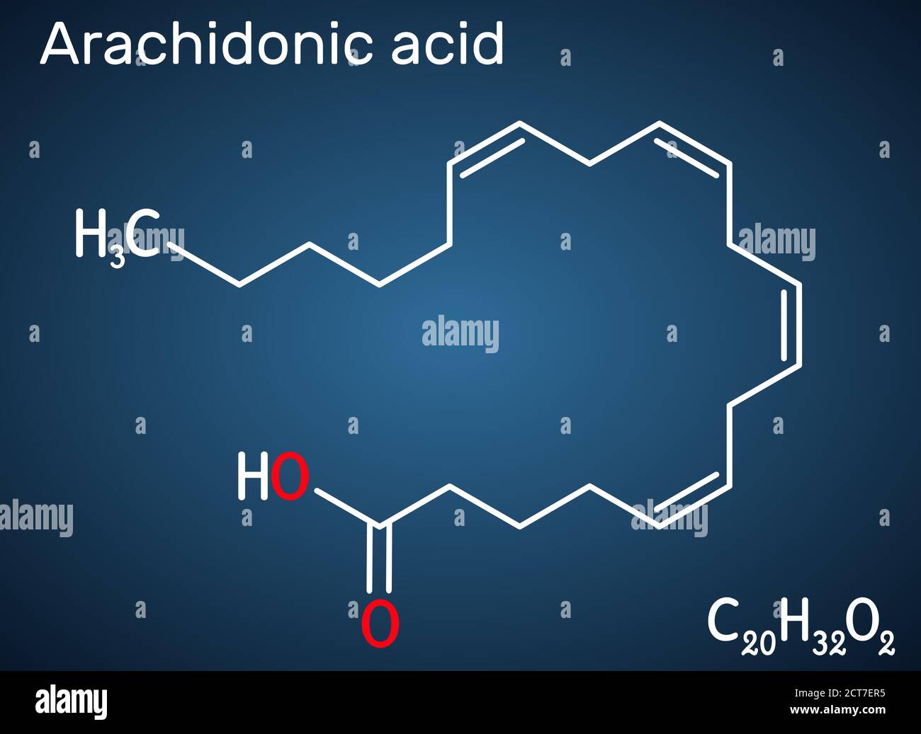Acido arachidonico, AA, molecola ARA. Si tratta di acido grasso insaturo  omega-6, è precursore nella biosintesi di prostaglandine, trombossani,  leucotrieni Immagine e Vettoriale - Alamy