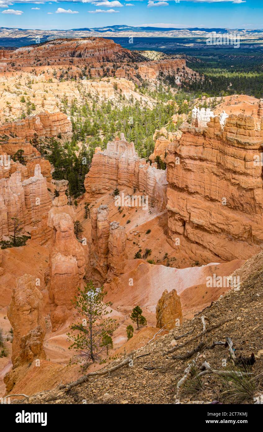 Punto panoramico al tramonto nel Bryce Canyon National Park nello Utah Foto Stock