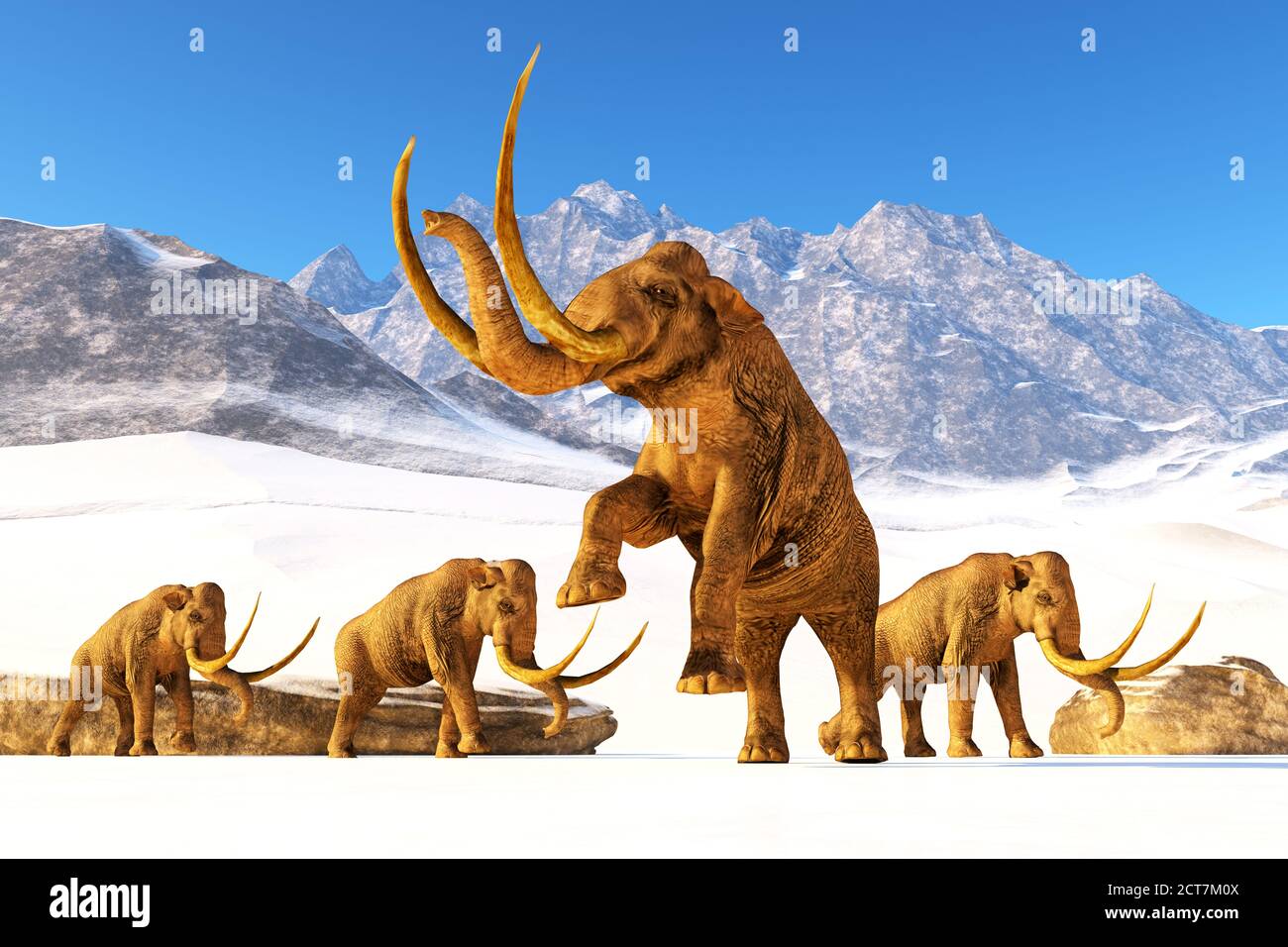 Elefante di Mammoth colombiano - UNA mandria di Mammoth colombiani si sposta attraverso una catena montuosa per raggiungere un clima più caldo. Foto Stock