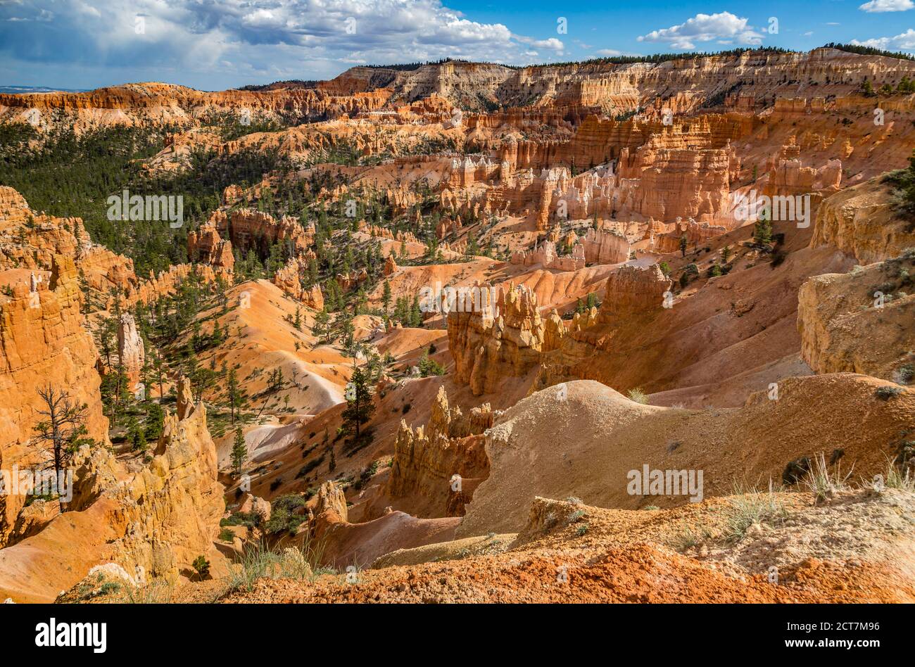 Punto panoramico al tramonto nel Bryce Canyon National Park nello Utah Foto Stock