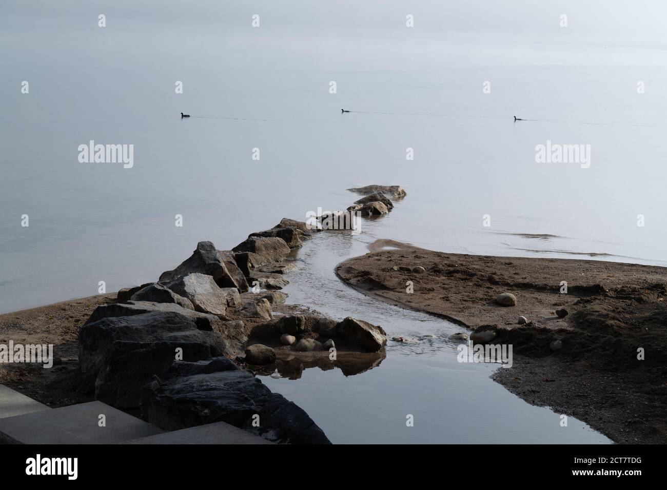 una piccola isola marrone sul mare con pietre e. acqua in tra piccolo uccelli acquatici che nuotano lontano nel sfondo al crepuscolo in bel tempo senza p Foto Stock