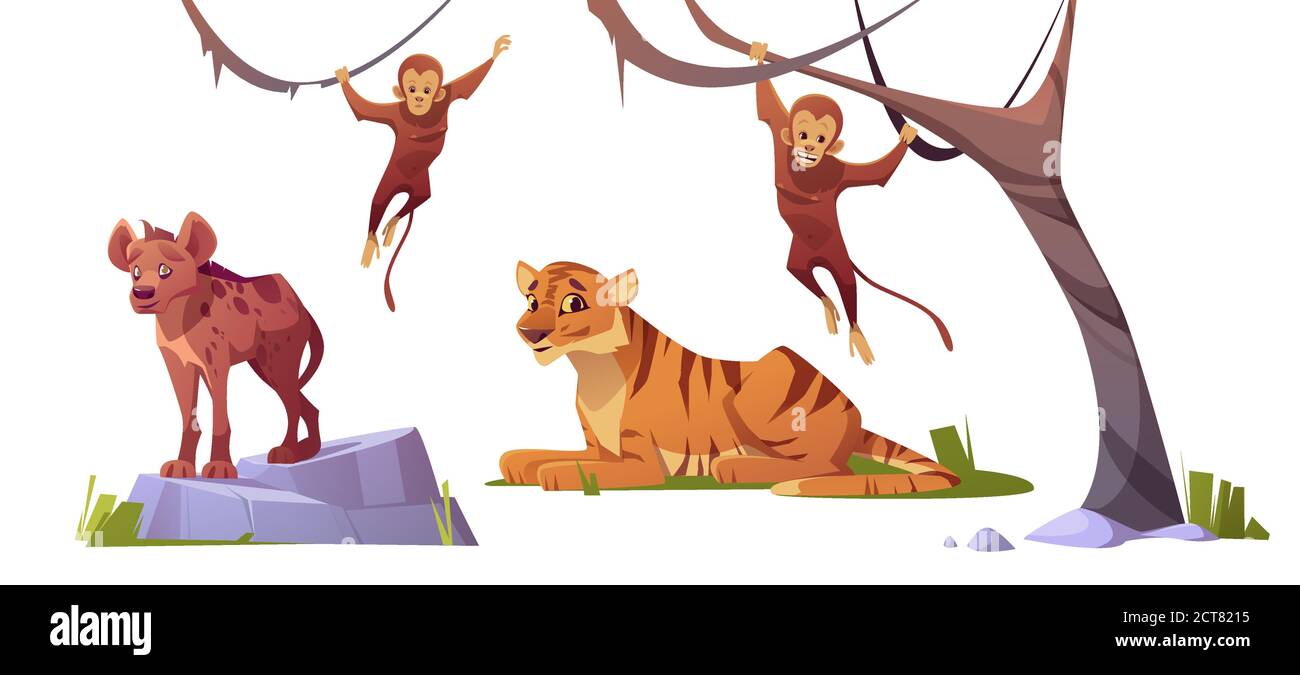 Cartoni animati animali selvatici tigre, monleys e iena, abitanti della giungla predatori e erbivori nel parco zoo o safari all'aperto zona. Bestie in fauna isolato su sfondo bianco, illustrazione vettoriale, set Illustrazione Vettoriale