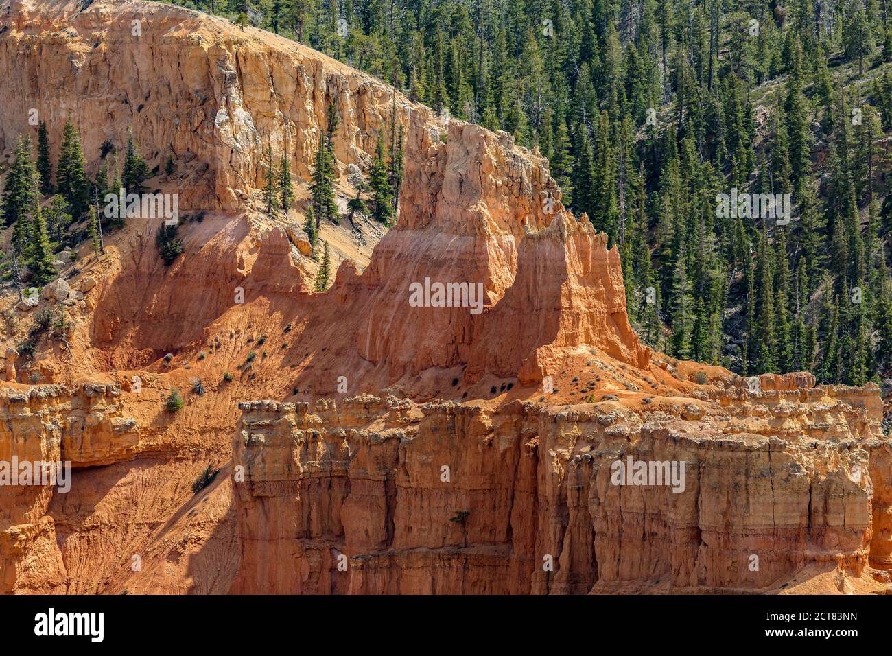 Punto panoramico Pariah View nel Bryce Canyon National Park nello Utah Foto Stock
