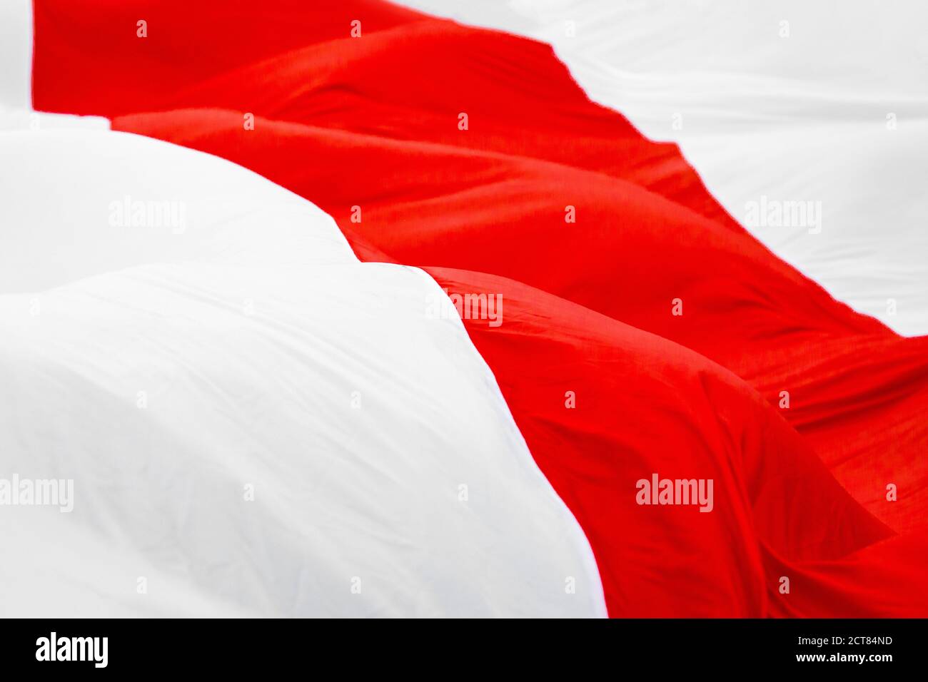 Bandiera bianca rossa. Nuova bandiera bielorussa Foto Stock