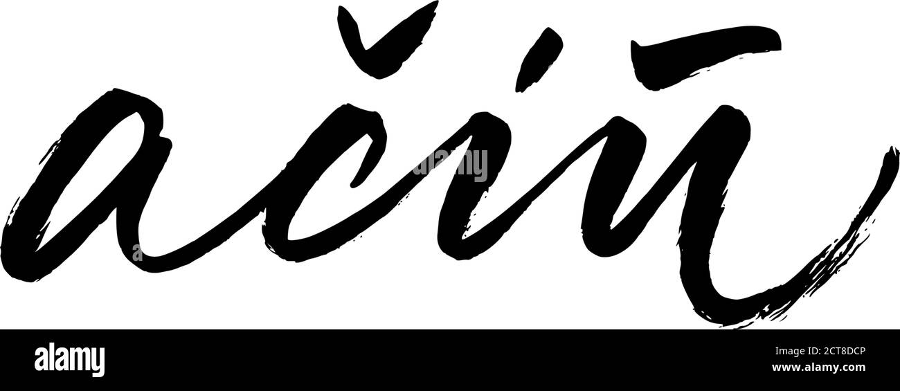 Grazie in lituano, scritta vettoriale pennello Illustrazione Vettoriale