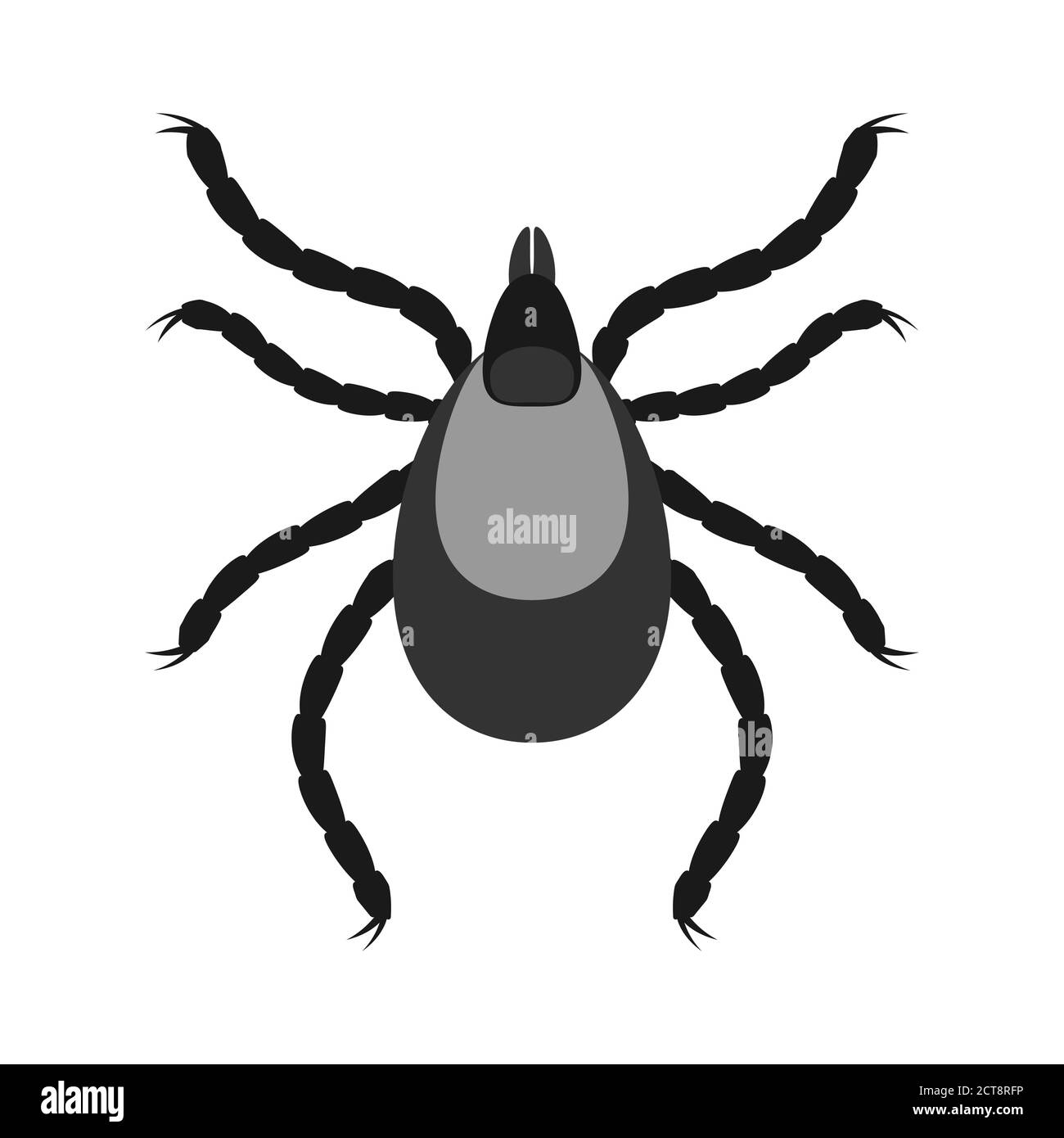 Parassiti degli acari. Icona insetto isolata. Silhouette nera di acaro. Illustrazione vettoriale. Icona Mite in design piatto Illustrazione Vettoriale