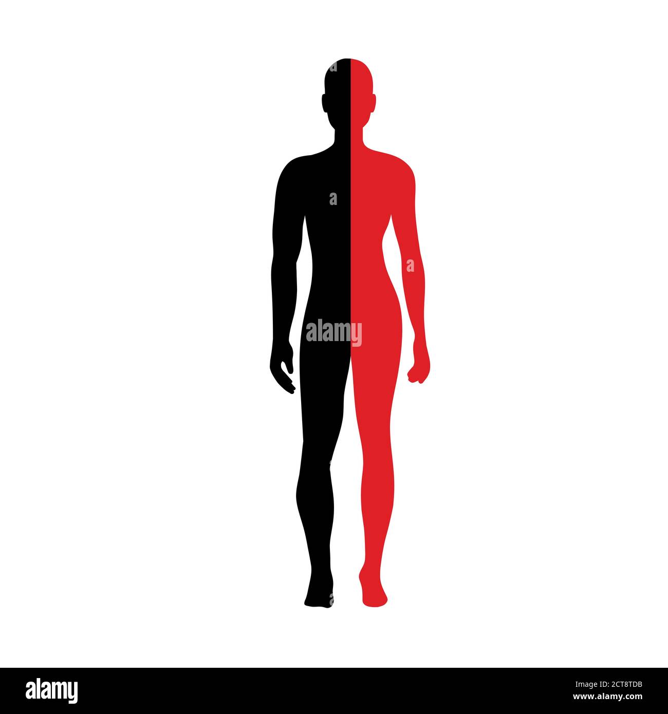 Silhouette di corpo mezzo Anatomia maschile e femminile Illustrazione Vettoriale