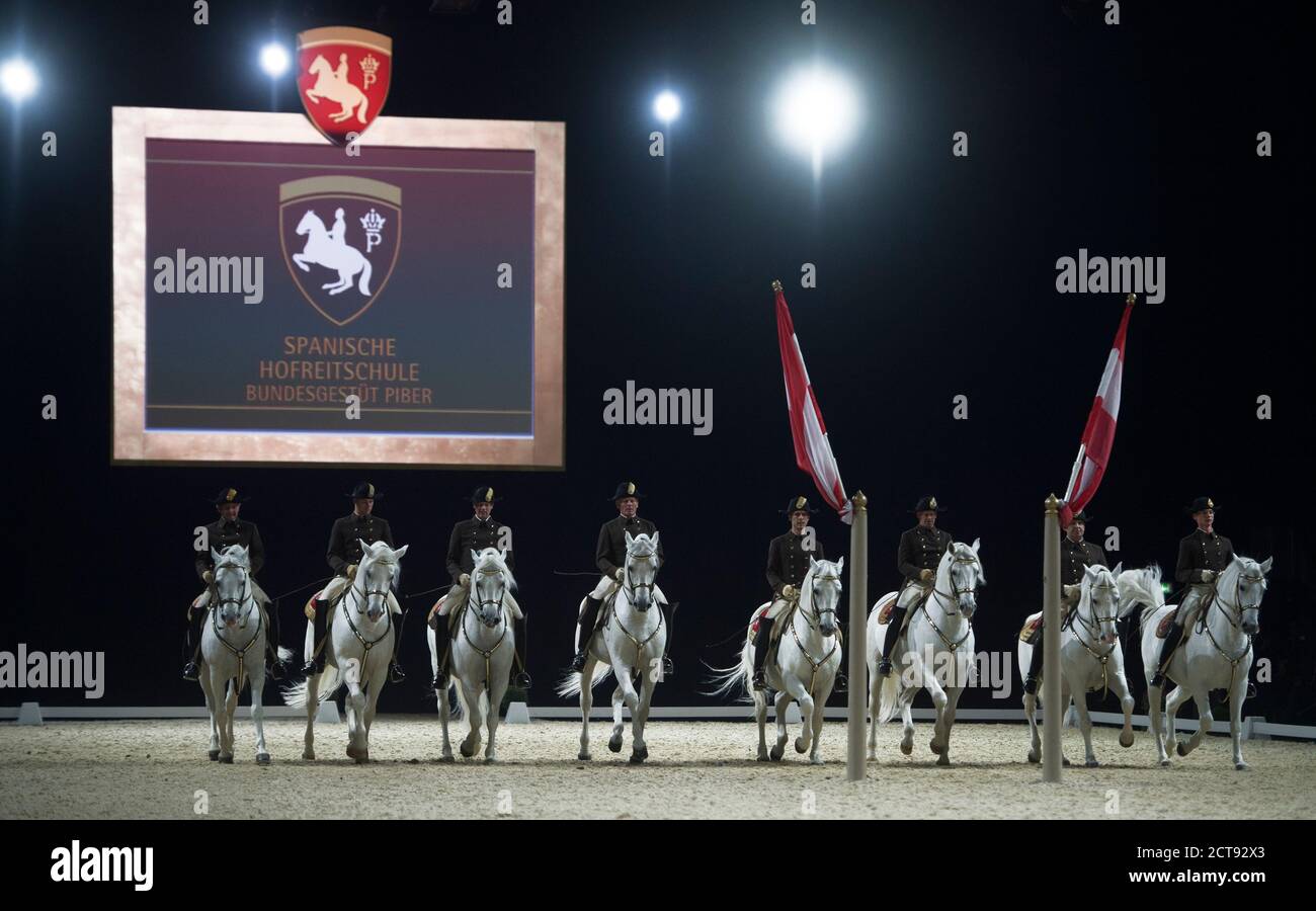 LA SCUOLA DI EQUITAZIONE SPAGNOLA SI ESIBIR PRESSO LA WEMBLEY ARENA DI LONDRA. PHOTO CREDIT : © MARK PAIN / ALAMY STOCK PHOTO Foto Stock