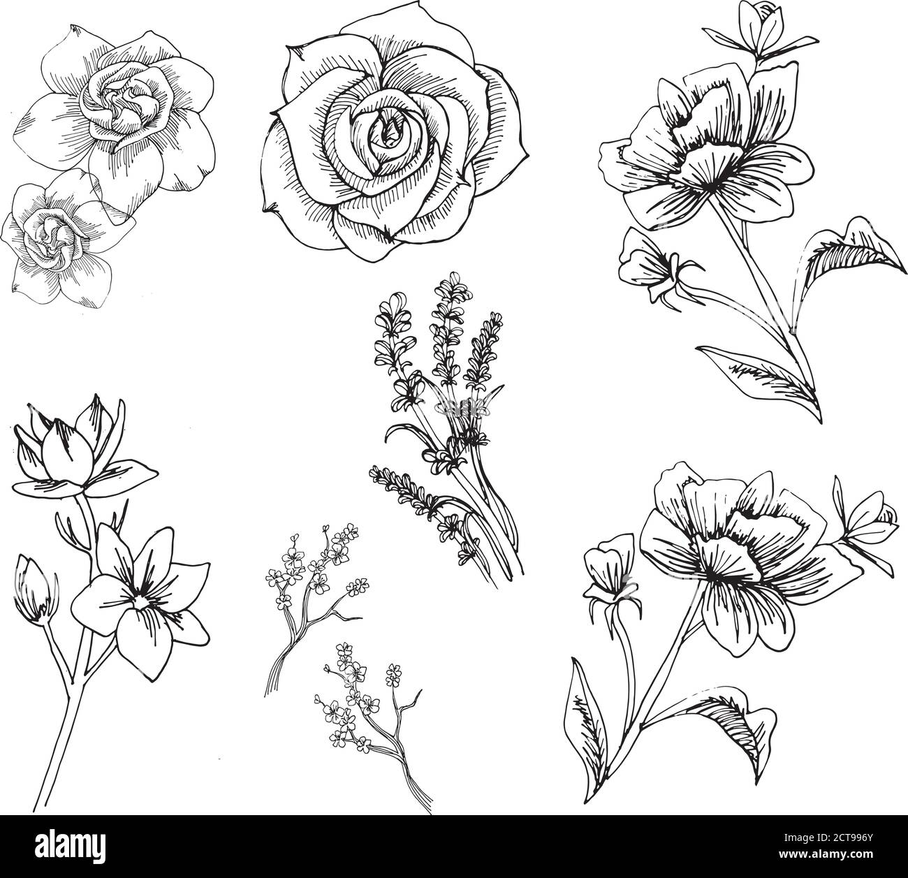 Vettore di illustrazione del fiore Illustrazione Vettoriale