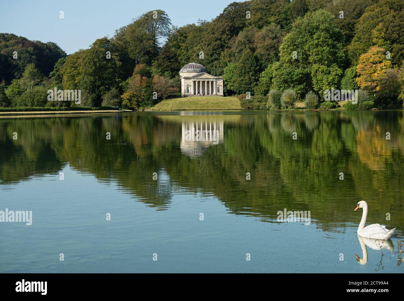Swan su un lago con il Pantheon ai margini circondato da alberi nei giardini Stourhead House. Stourhead House, Warminster, Wiltshire, Inghilterra, Regno Unito. Foto Stock
