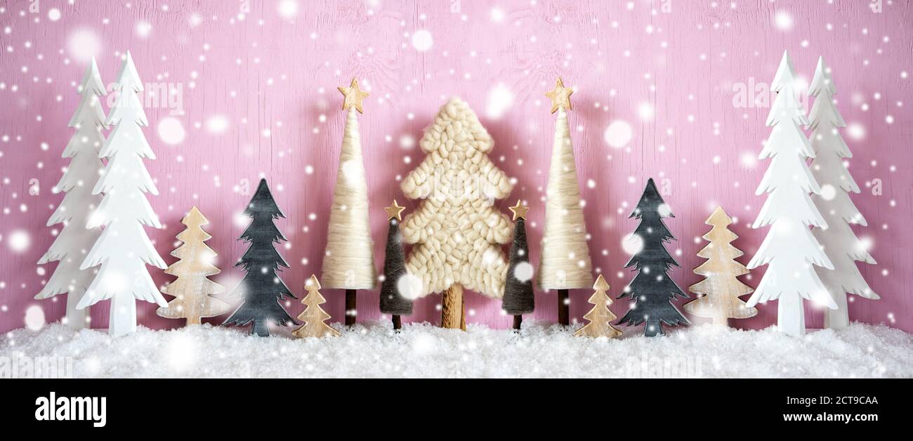 Banner, alberi di Natale, neve, sfondo rosa grugnoso, fiocchi di neve Foto Stock