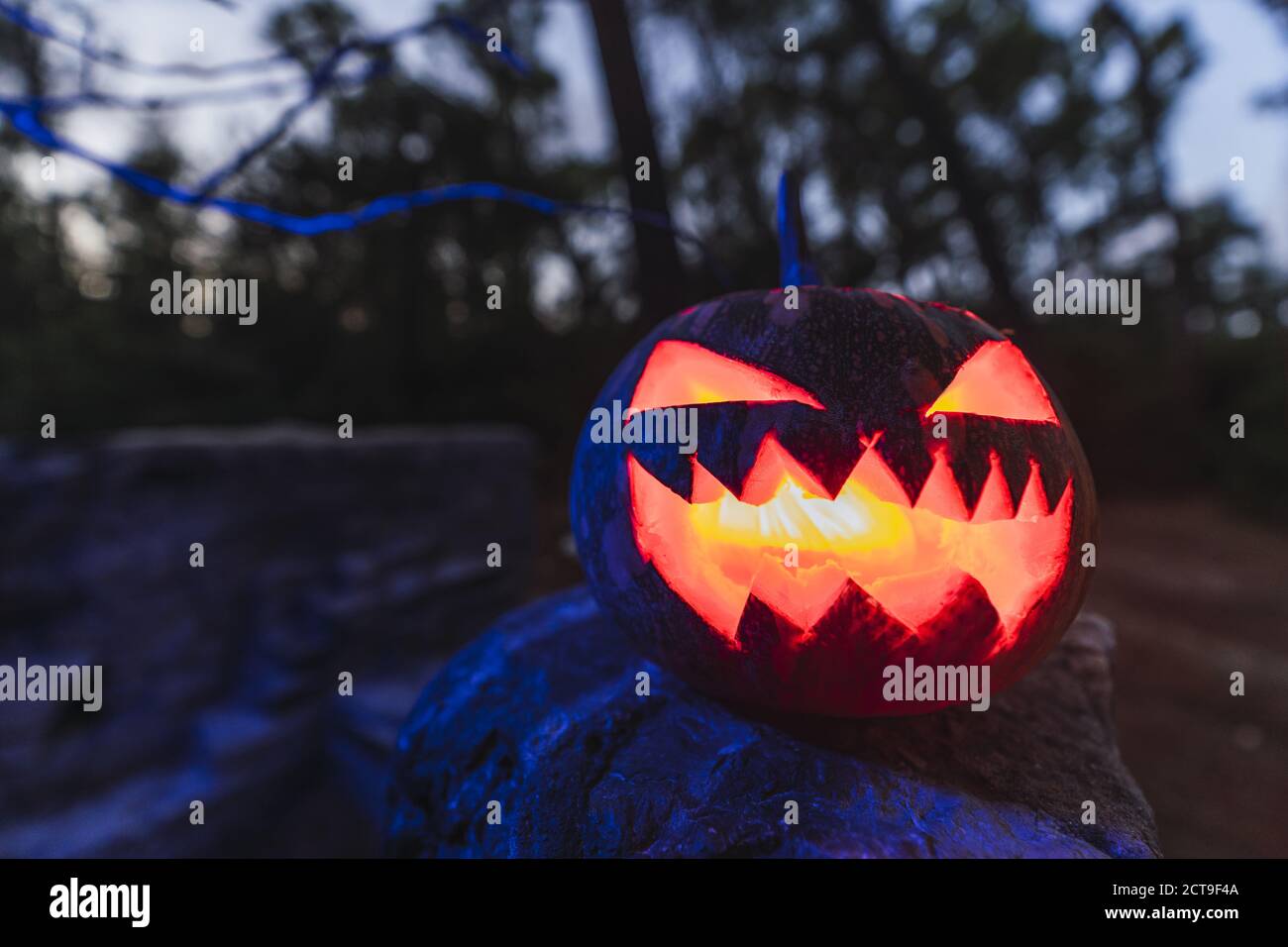Zucca di Halloween con una faccia spaventosa su una roccia dentro una foresta Foto Stock