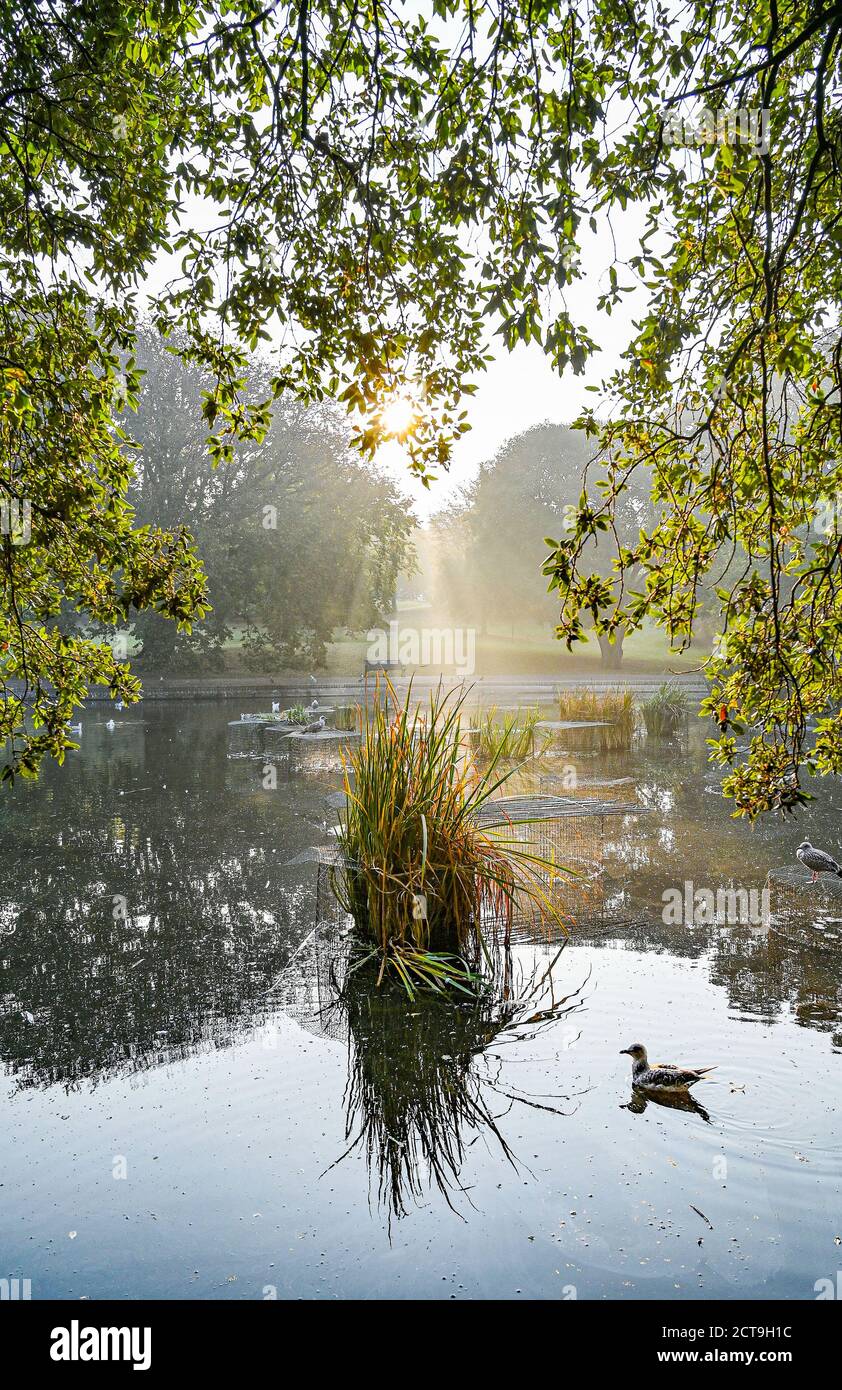 Brighton UK 22 settembre 2020 - il sole sorge al di sopra di una nebbia d'autunno nel Queens Park Brighton, in quanto le previsioni sono per il raffreddamento in tutta la Gran Bretagna da domani in poi . : Credit Simon Dack / Alamy Live News Foto Stock