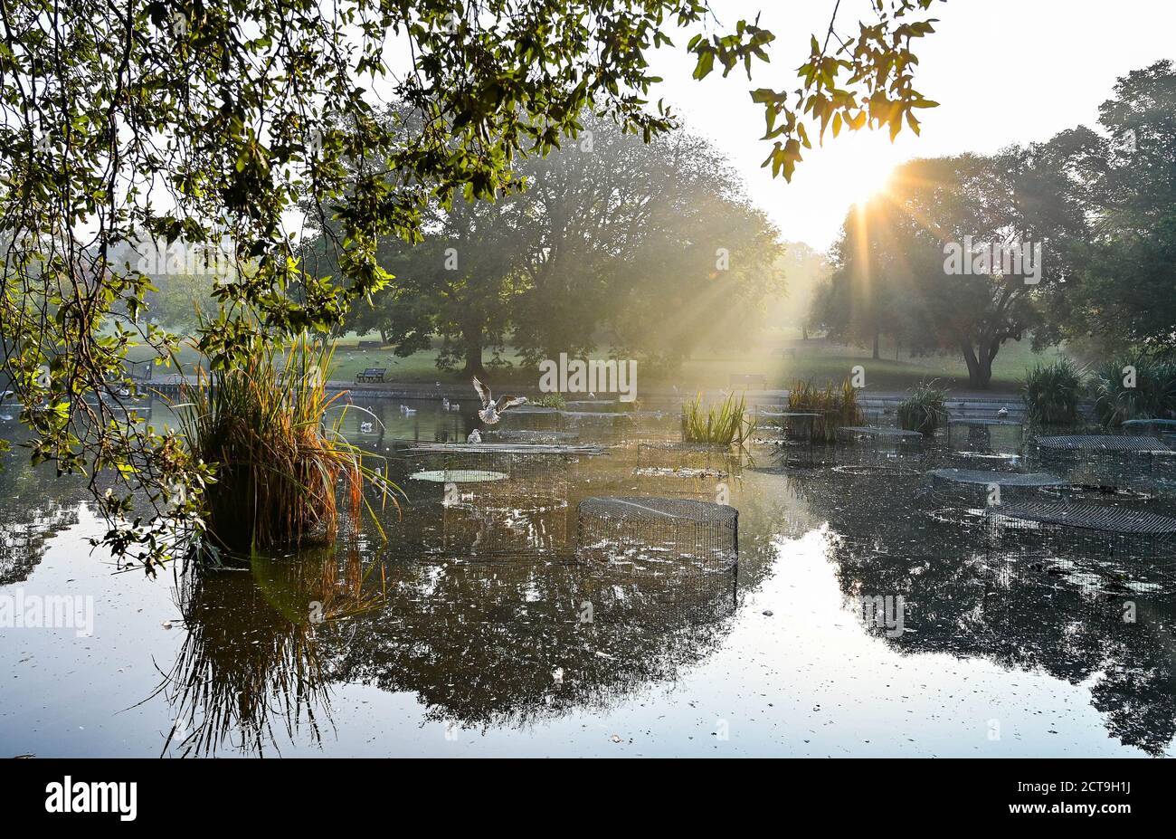 Brighton UK 22 settembre 2020 - il sole sorge al di sopra di una nebbia d'autunno nel Queens Park Brighton, in quanto le previsioni sono per il raffreddamento in tutta la Gran Bretagna da domani in poi . : Credit Simon Dack / Alamy Live News Foto Stock
