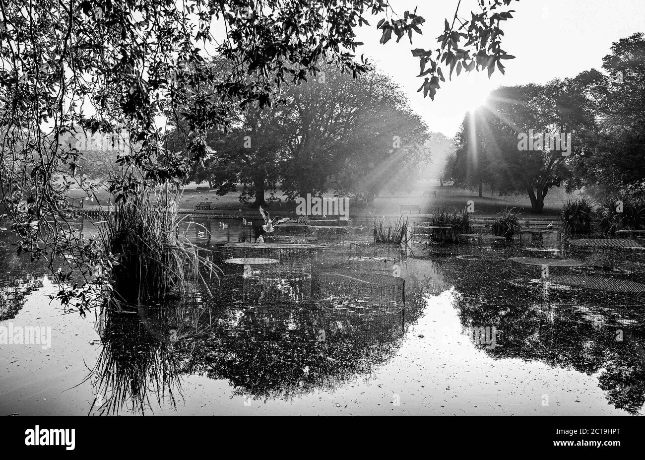 Brighton UK 22 settembre 2020 - il sole sorge sopra Una nebbia d'autunno in Queens Park Brighton come la previsione È per rinfrescare giù in tutta la Gran Bretagna Foto Stock