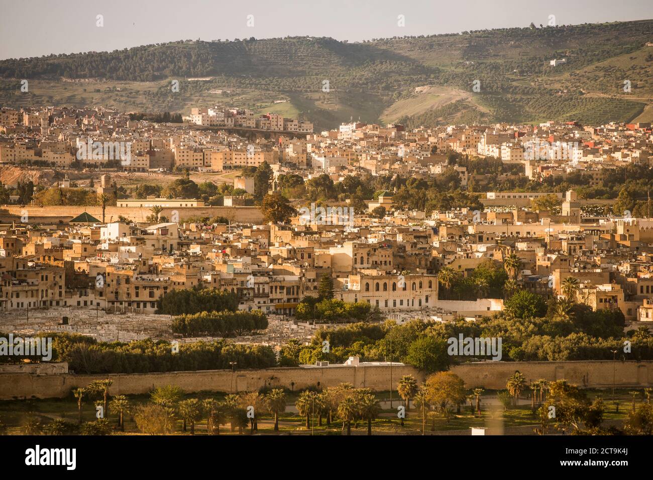 Il Marocco, Fes, vista sulla città Foto Stock