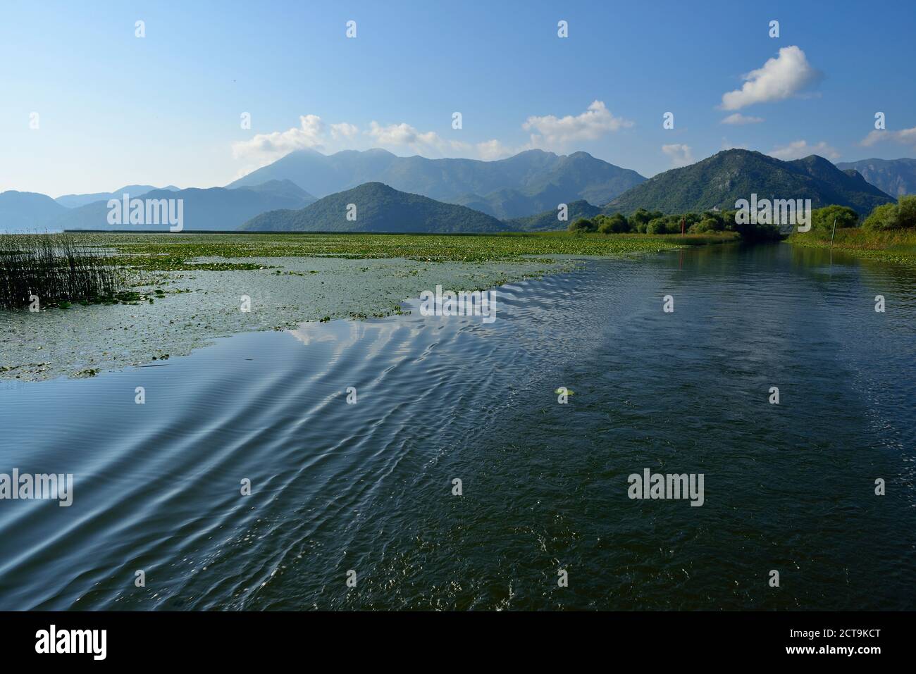 Montenegro, Crna Gora, i Balcani, vista sul lago Skadar e sulle montagne  Rumija, Skadar Lake National Park Foto stock - Alamy