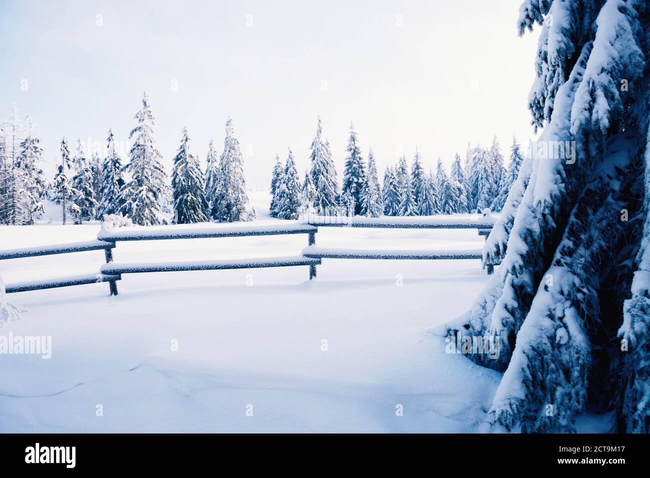 Germania, Bassa Sassonia, paesaggio invernale a Harz Foto Stock