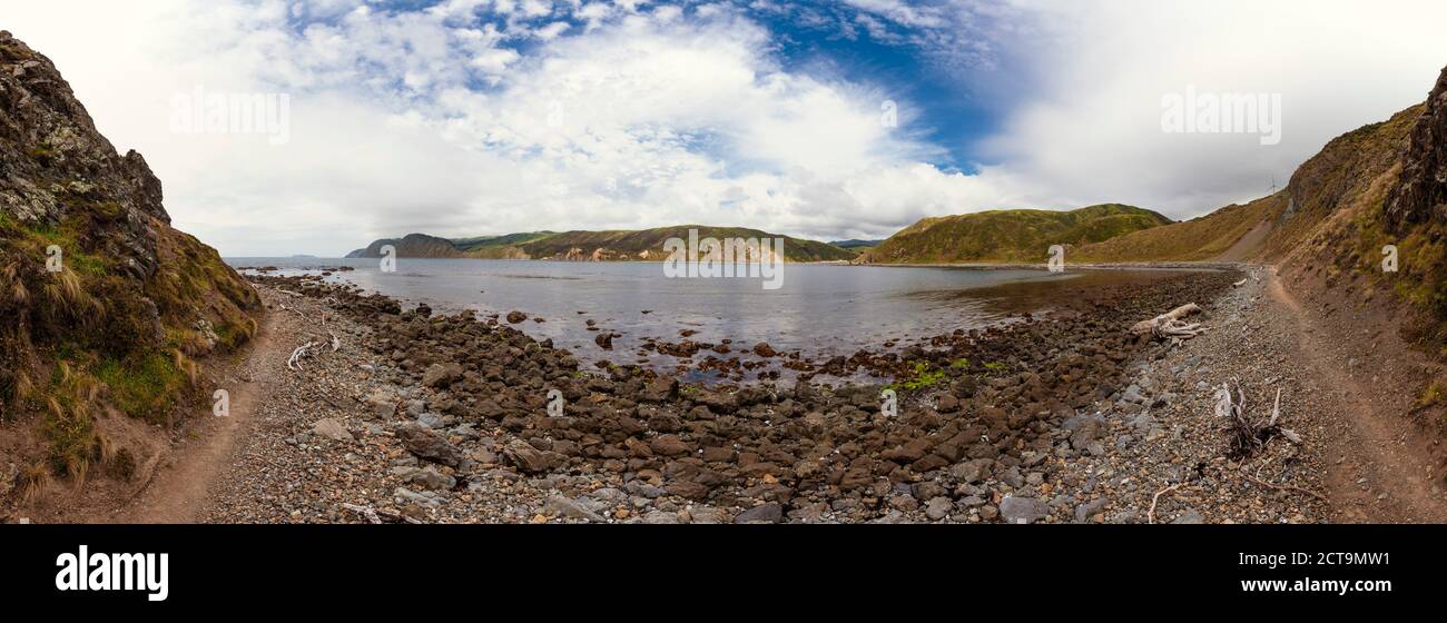 Nuova Zelanda Wellington, Kapiti, Spiaggia di makara che Foto Stock