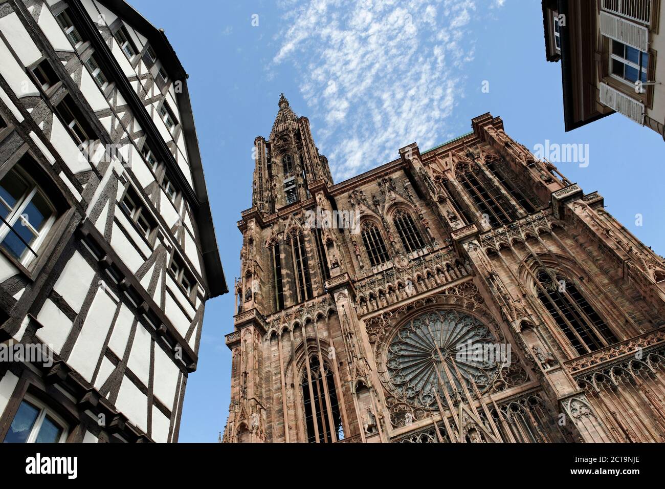 Francia, Bas-Rhin, Strasburgo, la cattedrale di Strasburgo, Vista della facciata ovest Foto Stock
