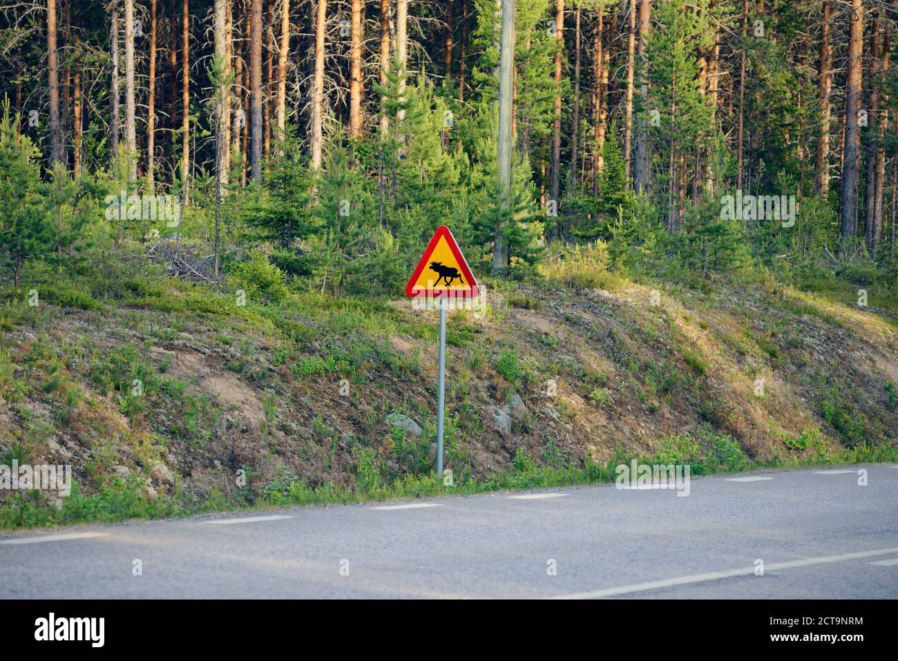 La Svezia, Jokkmokk, Elk crossing cartello stradale al country road Foto Stock