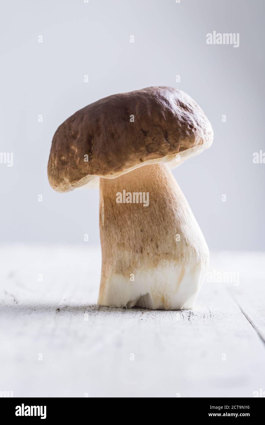 Pine bolete sul tavolo di legno Foto Stock
