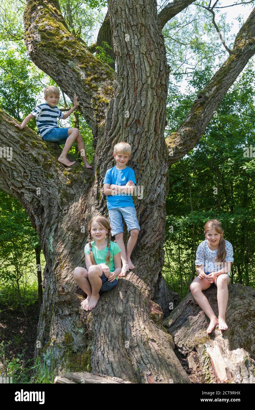 In Germania, in Baviera, quattro bambini seduti su un albero alla foresta urbana Foto Stock