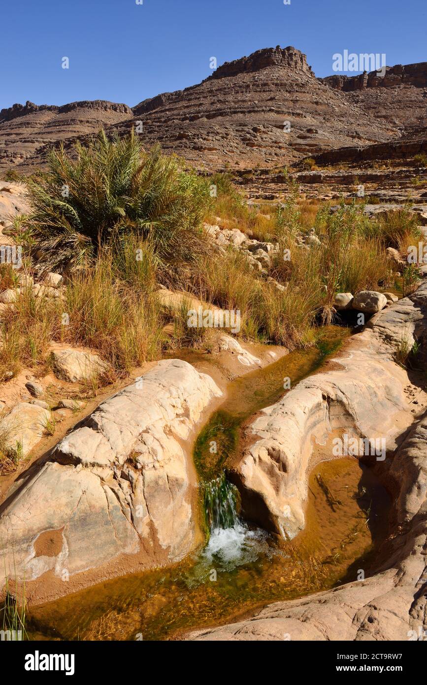 Africa, Algeria, del Tassili N'Ajjer National Park, Iherir, acqua in una guelta a Idaran Canyon Foto Stock