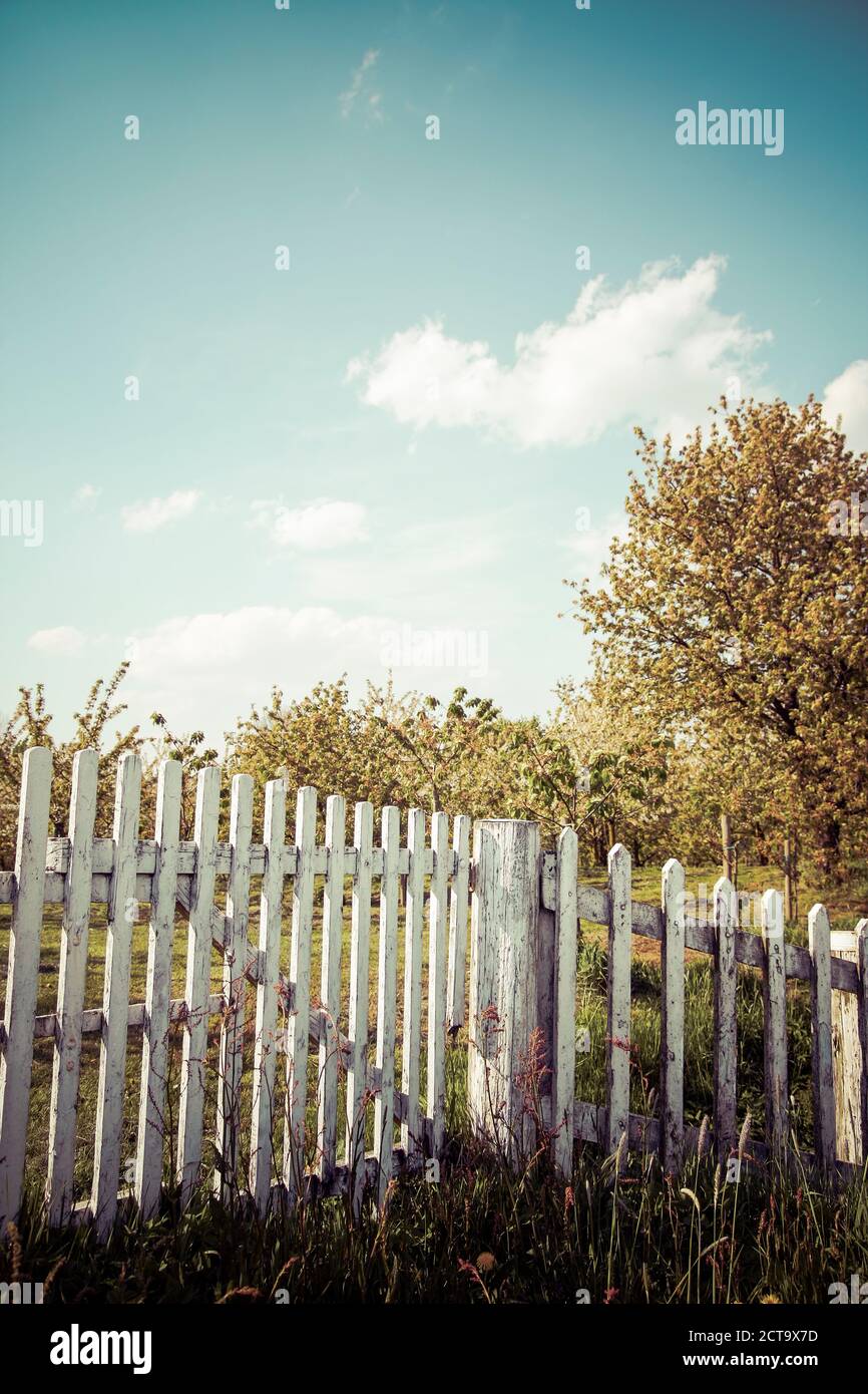 Germania, bianco staccionata in legno con alberi in background Foto Stock