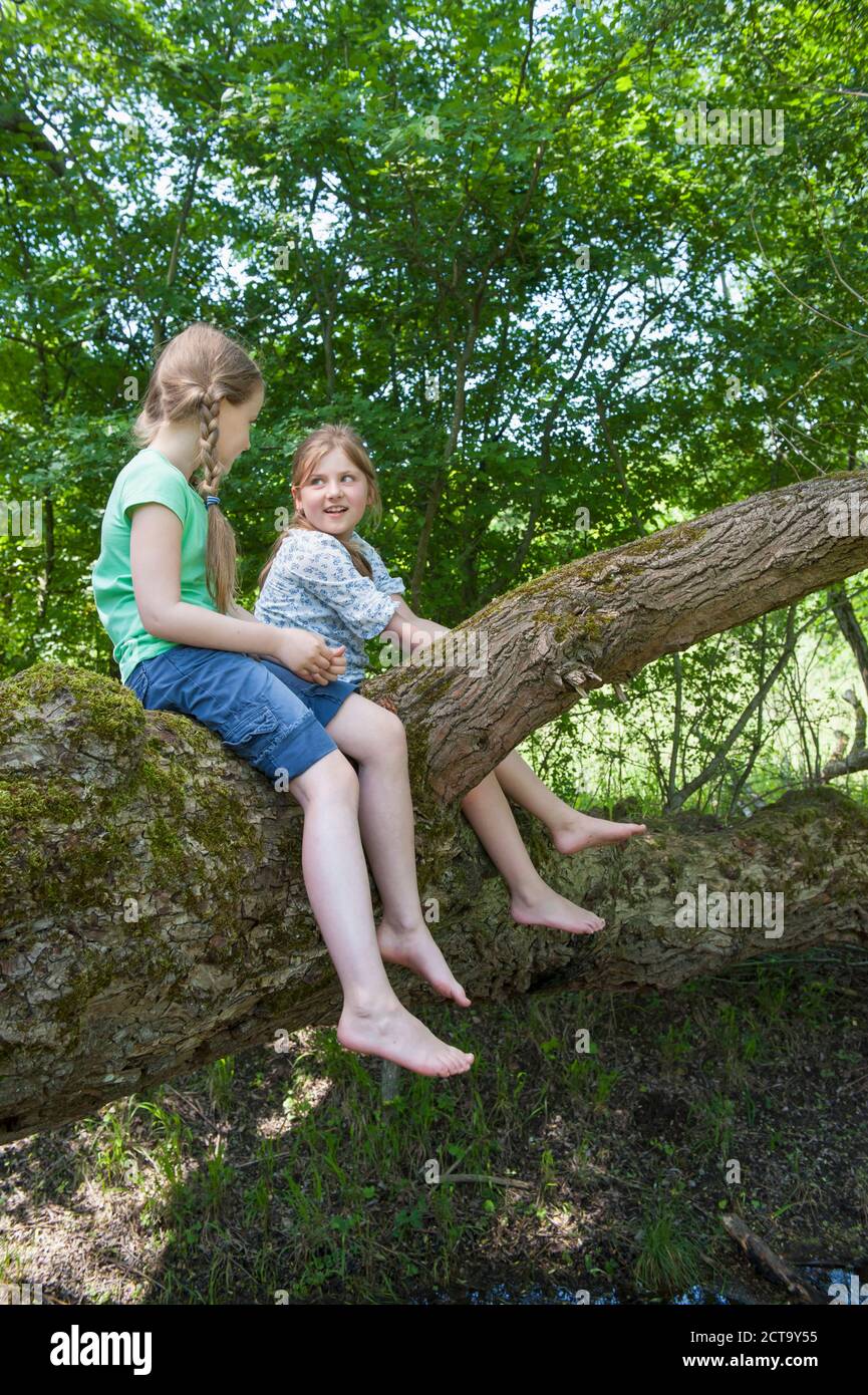 In Germania, in Baviera, due ragazze seduto su una struttura ad albero Foto Stock