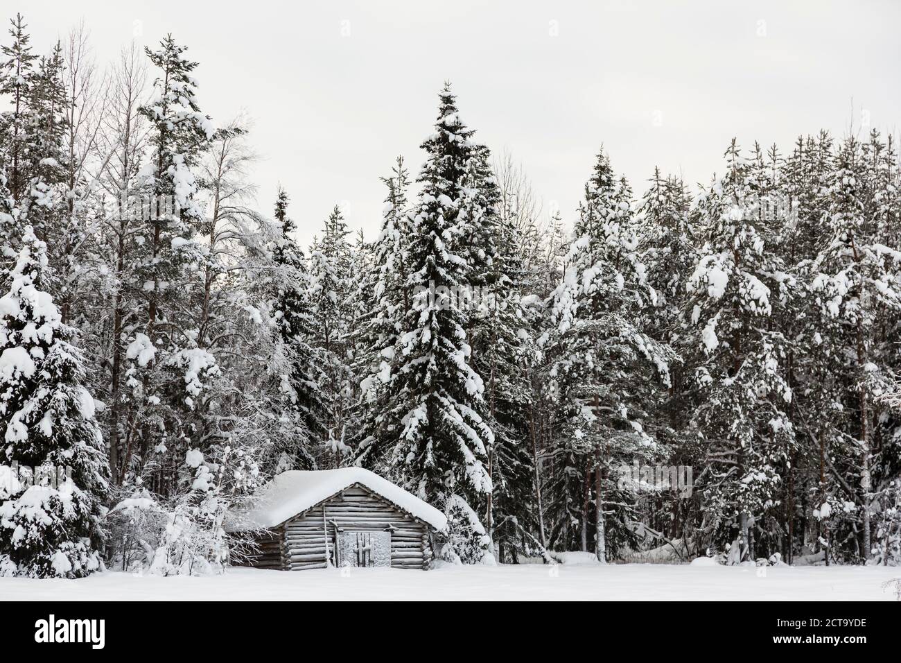 La Scandinavia, Finlandia, Kittilaentie, capanna in legno in corrispondenza del bordo della foresta Foto Stock