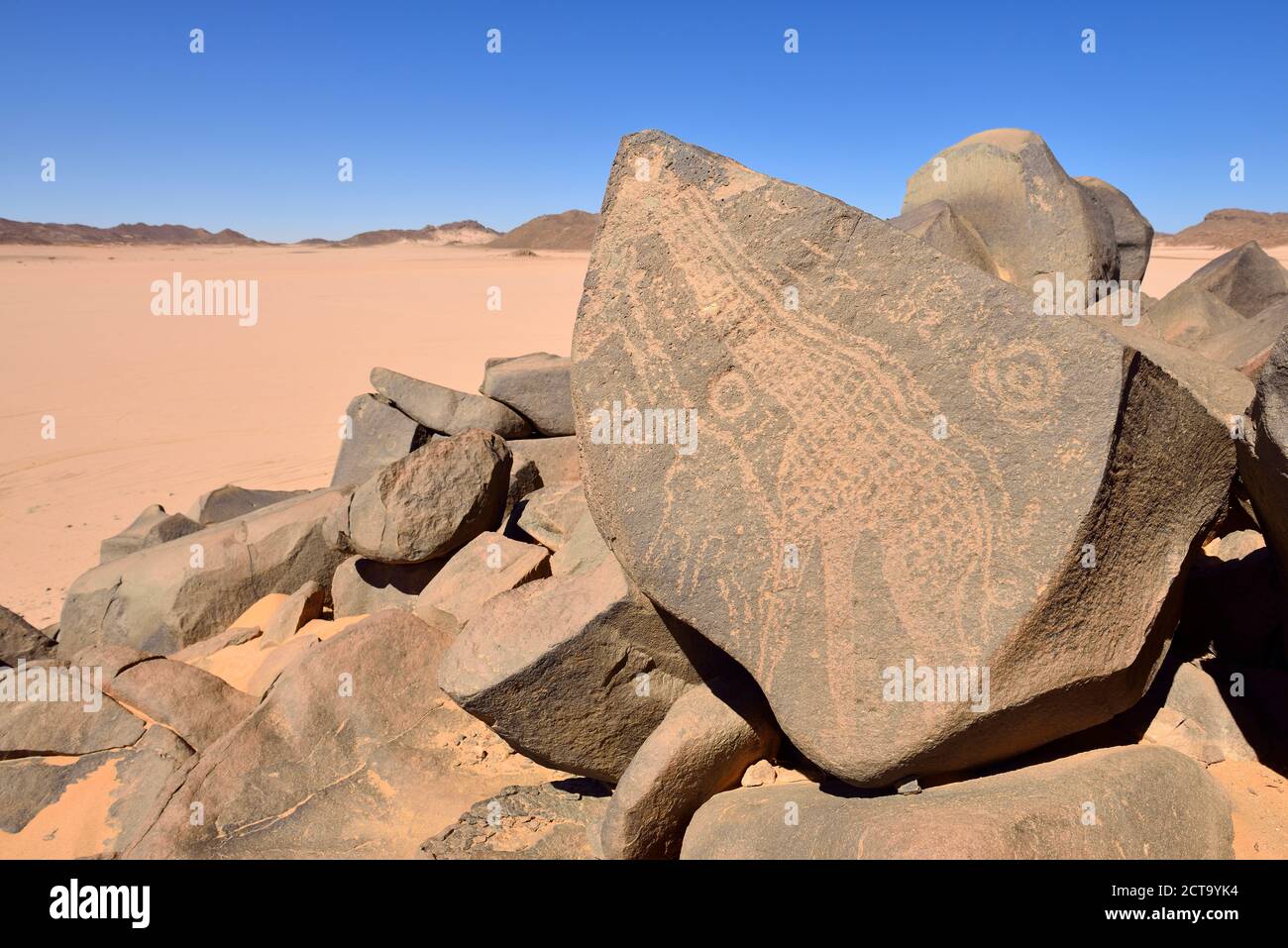 Il Nord Africa, Sahara, Algeria, del Tassili N'Ajjer National Park, neolitica arte rock, rock incisione di una giraffa Foto Stock