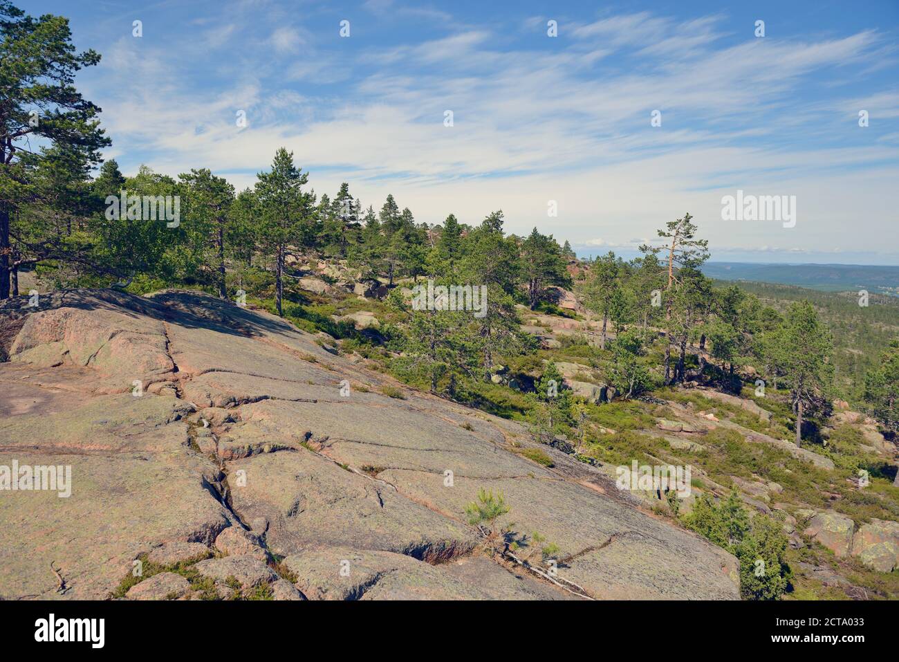 La Svezia, Oernskoeldsvik, paesaggio in Skuleskogen national park Foto Stock