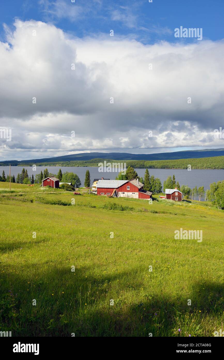 La Svezia, Gaeddede, paesaggio con case a Vildmarksvaegen Foto Stock