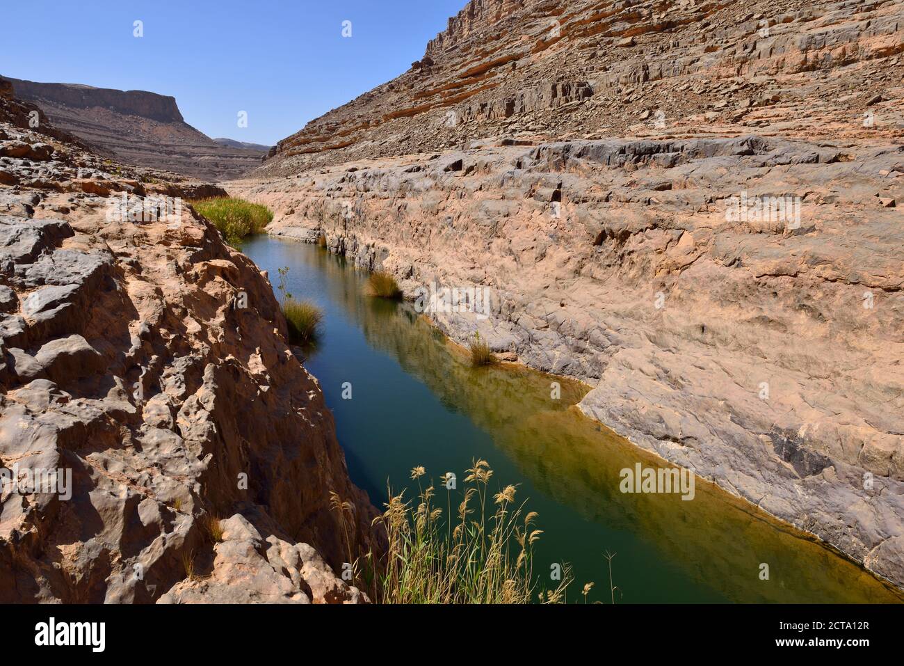Algeria, del Tassili N'Ajjer National Park, Iherir, acqua in una guelta a Idaran Canyon Foto Stock